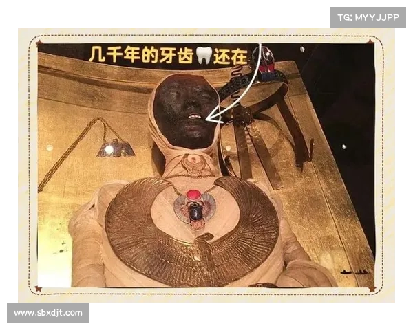 探索恐怖先祖的秘密一步步揭开神秘面纱的实用指南 探索恐怖先祖的秘密一步步揭开神秘面纱的实用指南