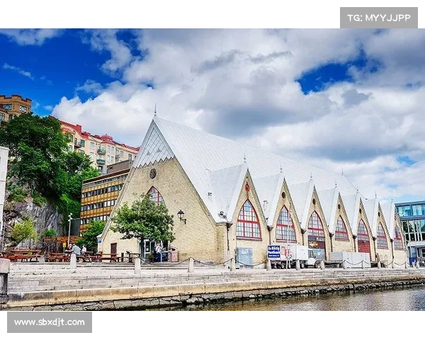 全面指南教你如何快速查看土耳其足球队最近比赛动态与赛程信息